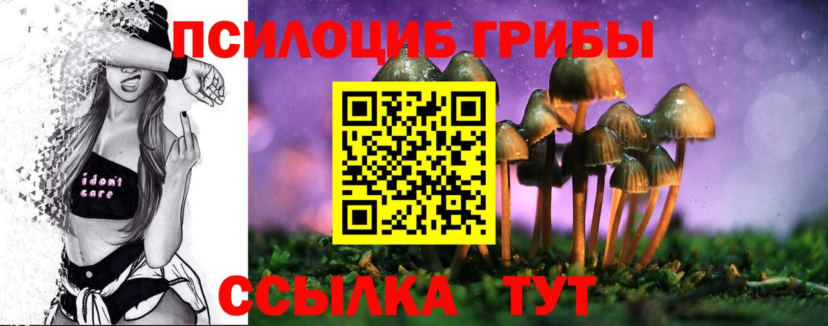 Галлюциногенные грибы мицелий  Вход с VPN  Кинель 